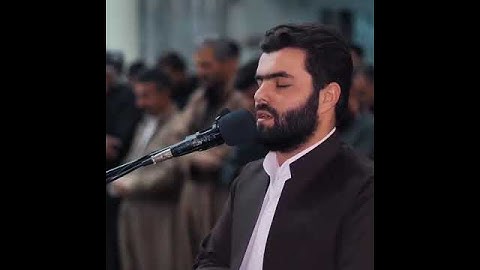 سورة التين.. بيشة وا قادر الكردي