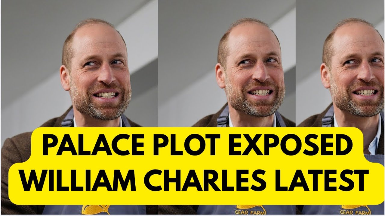 PALACE PLOT EXPOSED - BLAME GAME KICKS IN OVER SCANDAL LATEST #royal #epsteinfiles #news