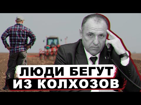 Сельское хозяйство Беларуси. Какие зарплаты в аграрном секторе? | Смотрим шире №21