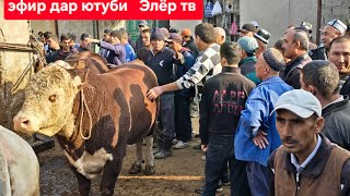 видео: МОЛБОЗОРИ ХУЧАНД ХУДЖАНД ТОЖИКИСТОН molbozor bozor прямом эфире! картинка: МОЛБОЗОРИ ХУЧАНД ХУДЖАНД ТОЖИКИСТОН molbozor bozor прямом эфире!
