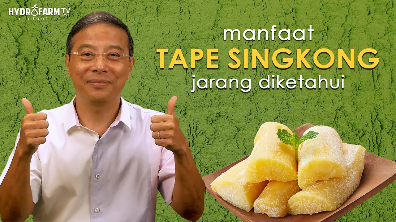 Manfaat TAPE SINGKONG Jarang Diketahui..!!