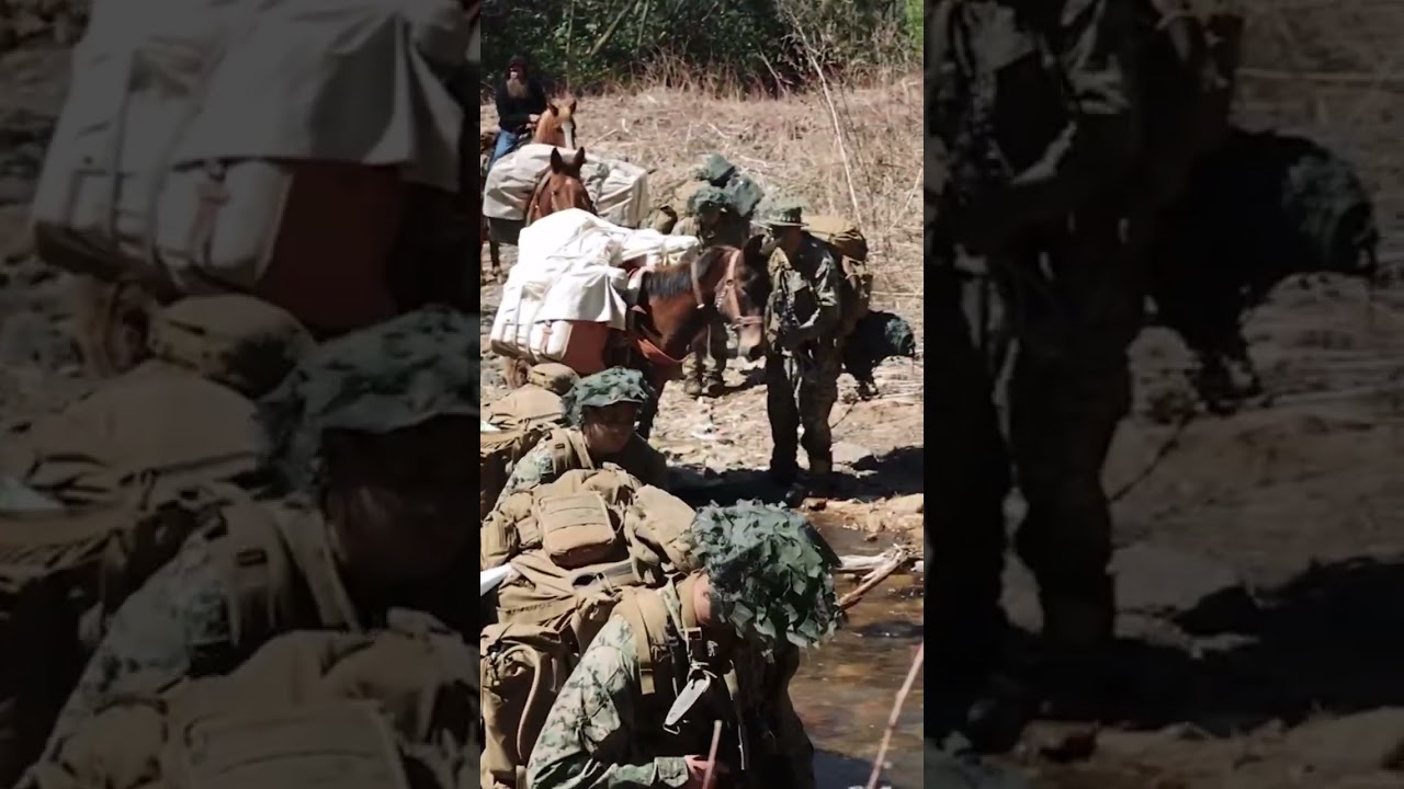 Mountain Mule Packers training Marines in the Cherokee National Forest