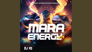 Mara Energy Mix (viii)