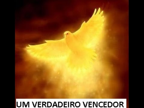 Helio Menandro - Um verdadeiro vencedor