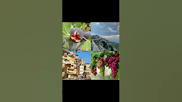 ماتشتهر به محافظات الاردن الاردن إربد الكرك جرش الزرقاء السلط العقبه 