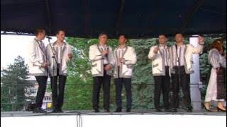 Grupul vocal Zavaidoc - Hai salcam, salcam de vara
