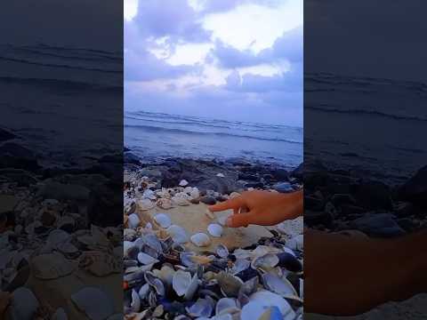 في الشاطئ احلى اجازة لحن يمين لادعي