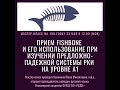 Мастер- класс &quot;Прием Fishbone  при изучении предложно-падежной системы РКИ на уровне А 1&quot;