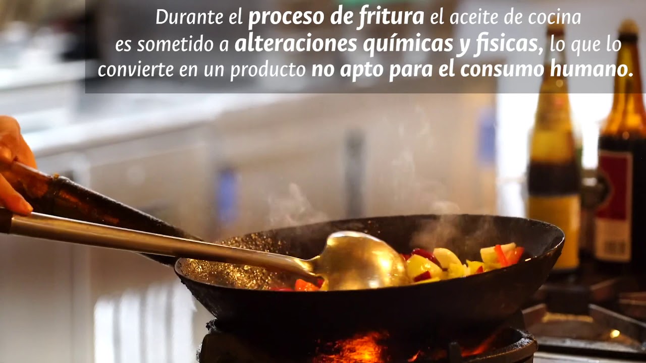 ¿Qué se debe hacer con el aceite de cocina usado? YouTube