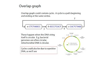 MCB 182 Lecture 3.2 - Genome assembly - overlap graphs