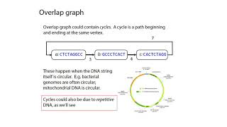 Famous MCB 182 Lecture 3.2 - Genome assembly - overlap graphs Wealth