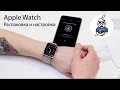 Стальные Apple Watch. Первый взгляд.