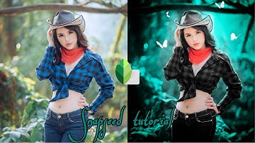 Snapseed tutorial - Snapseed Beginner Tutorial | Android and iPhone by axad methodic