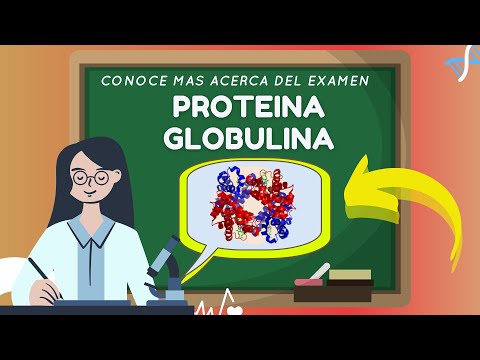 Video: Aumento dell'alfa globulina?