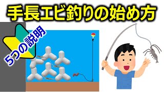 【初心者向け】手長エビ釣りの始め方