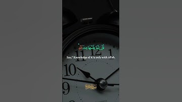 يسألك الناس عن الساعة (سورة الأحزاب )|| عبد الشكور الهلال