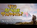 Что фармить на старте New World MMORPG