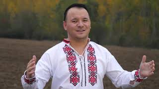 Mile Povan- Burlac sunt, n-am nici o treaba (Official Video 2020)