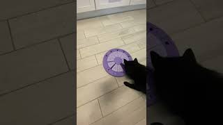 IMG 0842