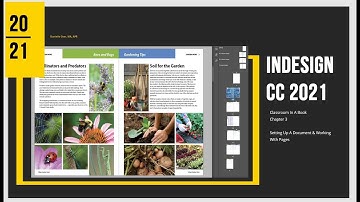 CC 2021 IN CIAB Ch 3 Part 3 Setting Up A Document Danielle Oser Source