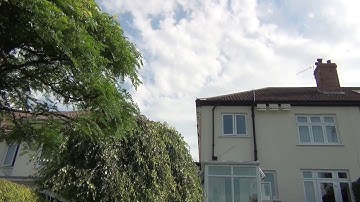 Swifts prospecting and enticing chicks 25 July 2019