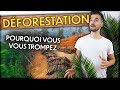 9 erreurs sur la DÉFORESTATION (à ne plus faire) !