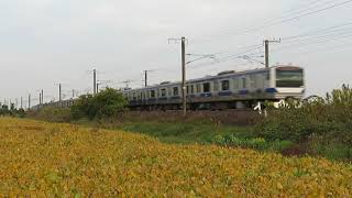 常磐線　E531系K421編成　383M　普通 水戸 行　友部～内原　通過　2020.11.07