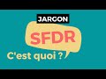 Jargon  cest quoi la sfdr 