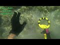 Nokta Makro pulse dive 1st hunt