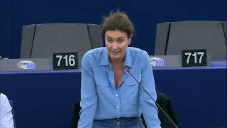 Intervento in Plenaria di Alessandra Moretti, europarlamentare del partito democratico durante la Plenaria di Strasburgo sui cambiamenti climatici e gli eventi catastrofici.
