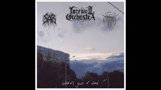 02 Farewell Orchestra  Somewhere Between