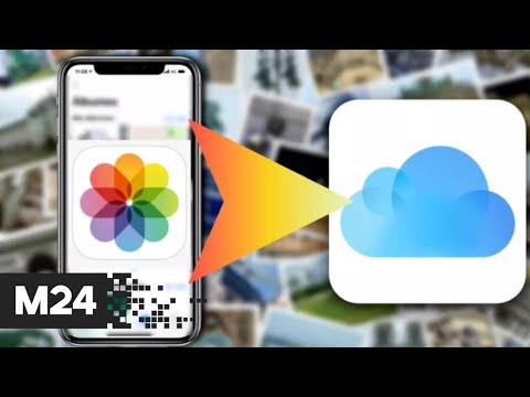 Эксперт посоветовал россиянам скопировать данные из облаков Google и iCloud - Москва 24