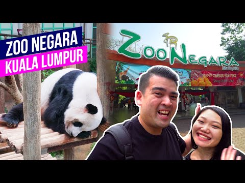 Video: Zoo in Kuala Lumpur