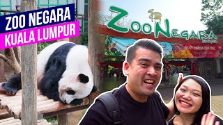 Zoo Negara Kuala Lumpur Day Trip | Things do to in Kuala Lumpur | National Zoo of Malaysia