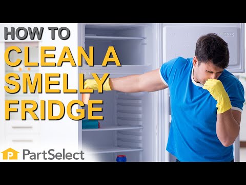 why it appeared and how to eliminate an unpleasant smell in the refrigerator