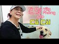 Tâm sự của cô Hồng từ Phú Yên ra Hải Phòng gặp Kim Chi Củ Cải - 1300km