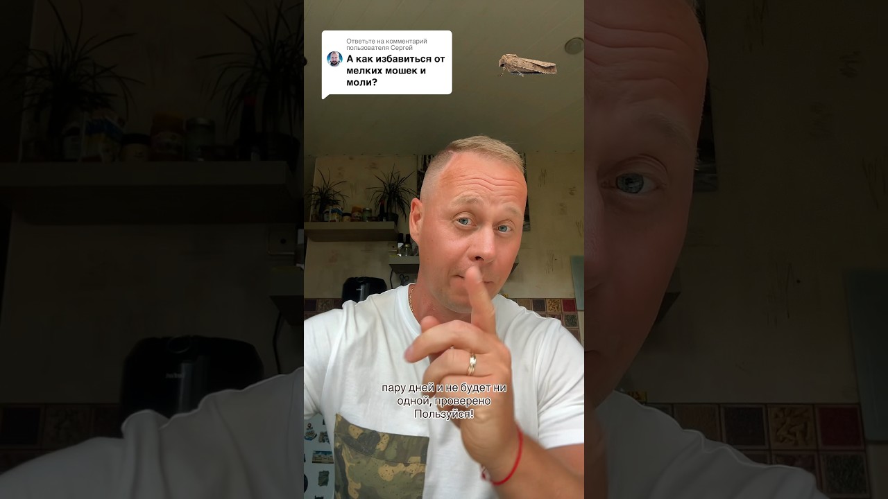 Как легко избавиться от моли и маленьких мошек?!#лайфхак #советы #кухня #рецепт #bobbygrant690