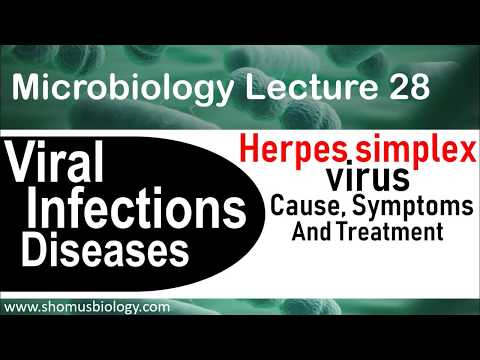 Herpes simplex virus microbiology | Cause, symptoms and treatments