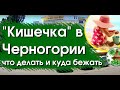 Что делать если заболел ребёнок в Черногории