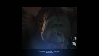 Pitfest Indoor Mega Primaten Festijn Op 25 Maart In Emmen