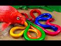 Mancing bebek, ikan koi, katak, belut besar di lubang lumpur - Stop Motion ASMR Memasak Primitif