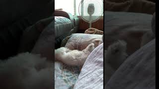 IMG 4646