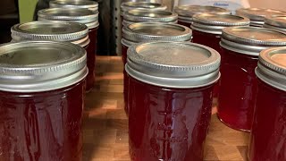 OLD SCHOOL  HOMEMADE PLUM JELLY (MADE FROM MY IMPERFECT FOODS HAUL)