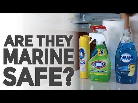 Video: I detergenti per water sono sicuri?