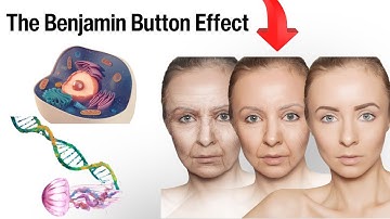 What if your birthday was a rewind button for your life?