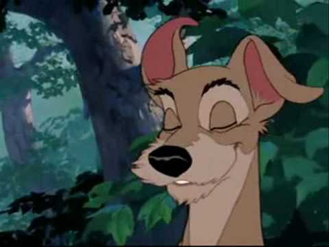 Disney Dogs - Archibald's History of The Star Of C...