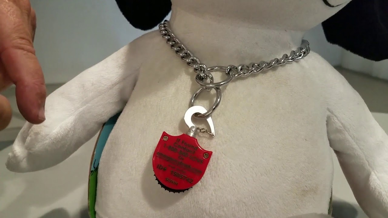 How to use Emergency Leash on Pinch, Choke & Lead Collar YouTube