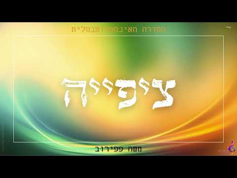 משה פפירוב - "ציפייה" (הסדרה האינסטרומנטלית) - Moshe Papirov - "Expecting" (The Instrumental Series)