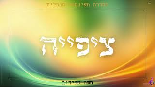 משה פפירוב - ציפייה