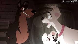 What Is Love? Mep Full